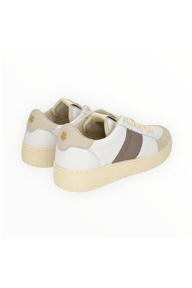 f.cassetta bianco ash grey-------------------- SAINT SNEAKERS | SAIL-BIANCO